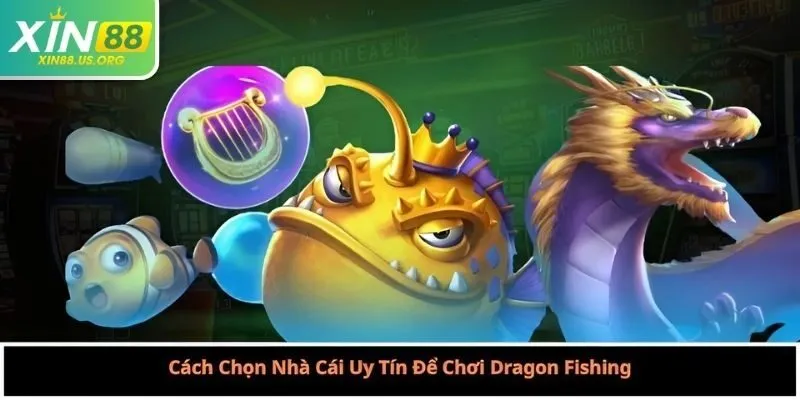 Cách Chọn Nhà Cái Uy Tín Để Chơi Dragon Fishing