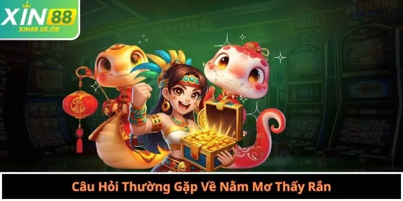 Câu Hỏi Thường Gặp Về Nằm Mơ Thấy Rắn