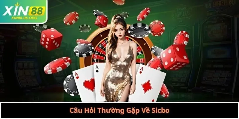 Câu Hỏi Thường Gặp Về Sicbo