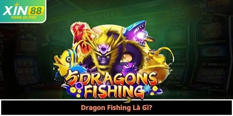 Dragon Fishing Là Gì?
