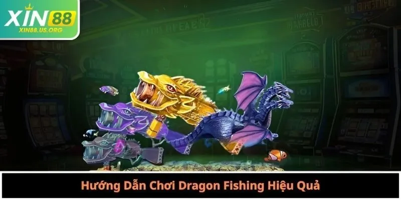 Hướng Dẫn Chơi Dragon Fishing Hiệu Quả