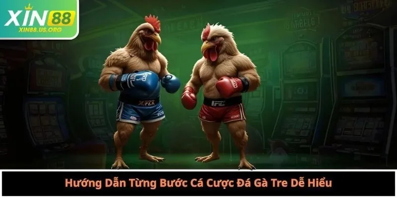 Hướng Dẫn Từng Bước Cá Cược Đá Gà Tre Dễ Hiểu