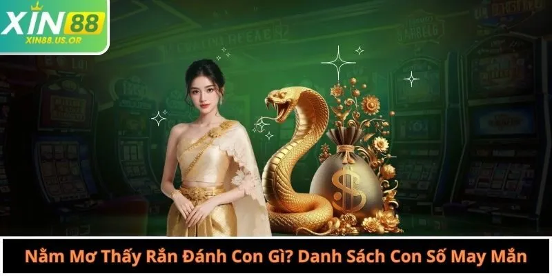 Nằm Mơ Thấy Rắn Đánh Con Gì? Danh Sách Con Số May Mắn