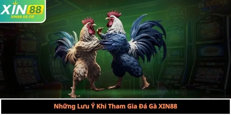 Những Lưu Ý Khi Tham Gia Đá Gà XIN88