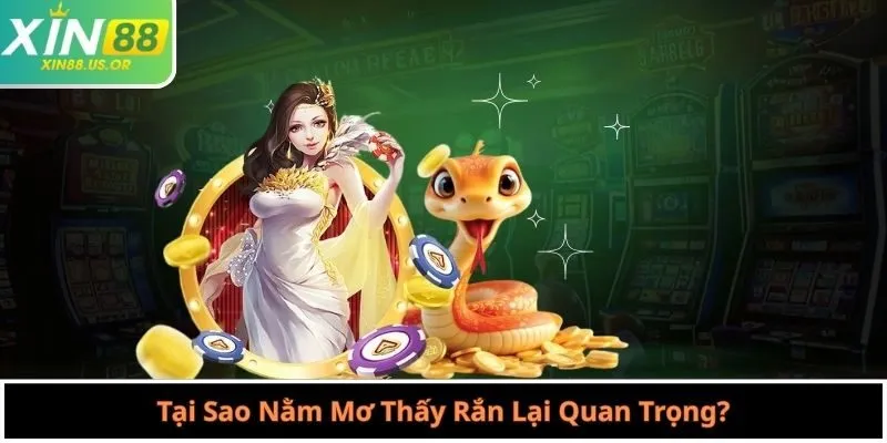 Tại Sao Nằm Mơ Thấy Rắn Lại Quan Trọng?