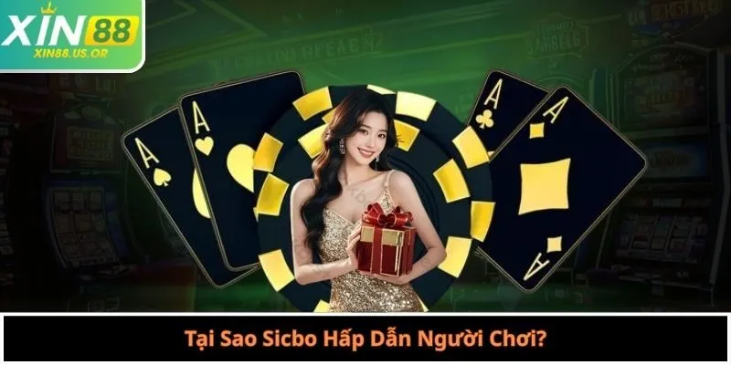 Tại Sao Sicbo Hấp Dẫn Người Chơi?